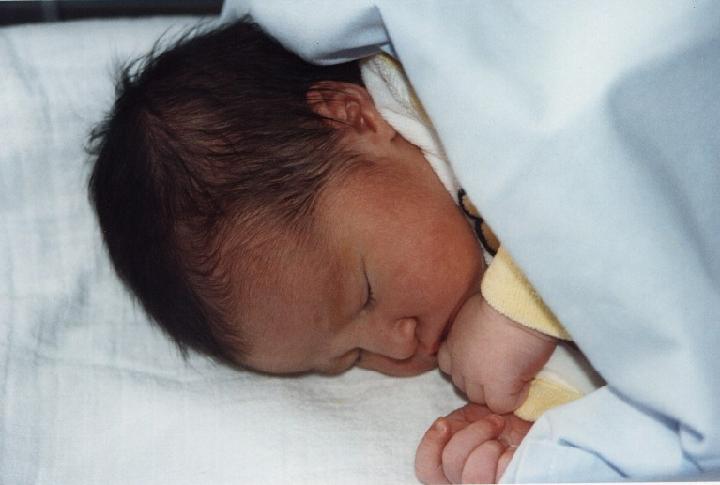 1994-000.jpg
