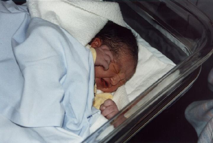 1994-004.jpg