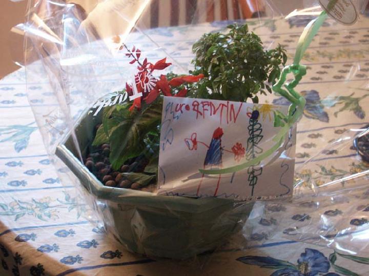 2002-05-016.jpg