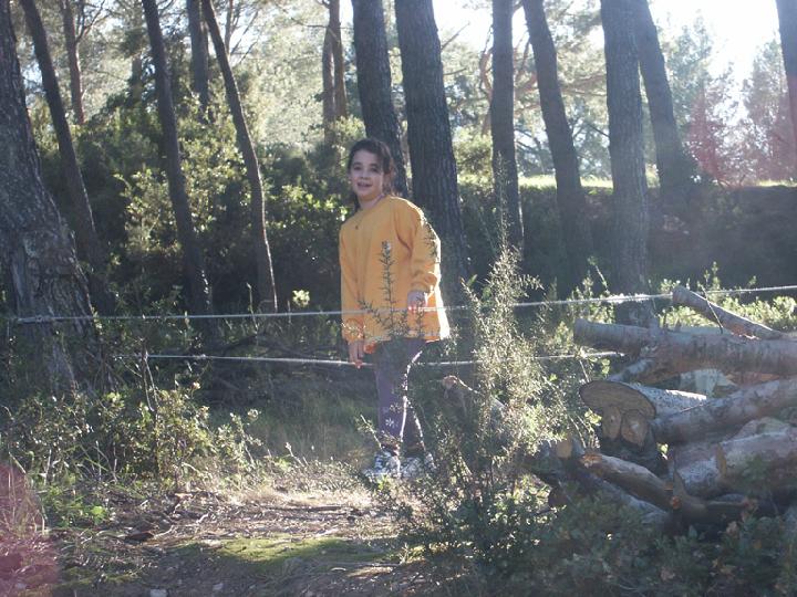 2002-10-014.jpg