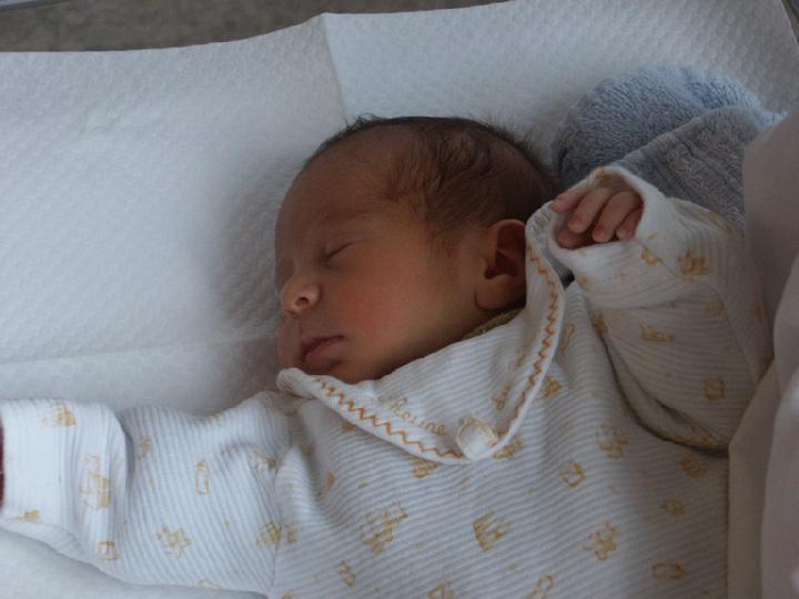 2002-10-017.jpg