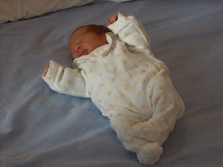 2002-10-028.jpg