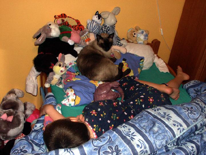 2002-12-022.jpg