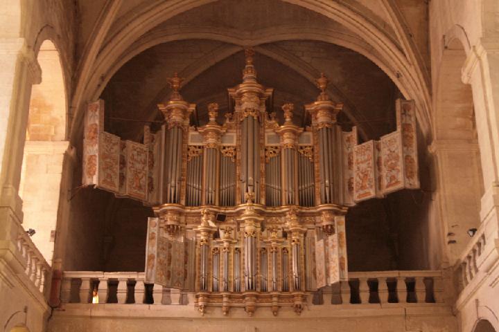 080.JPG