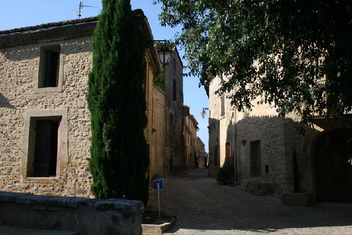 111.JPG