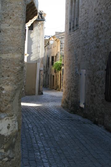 113.JPG