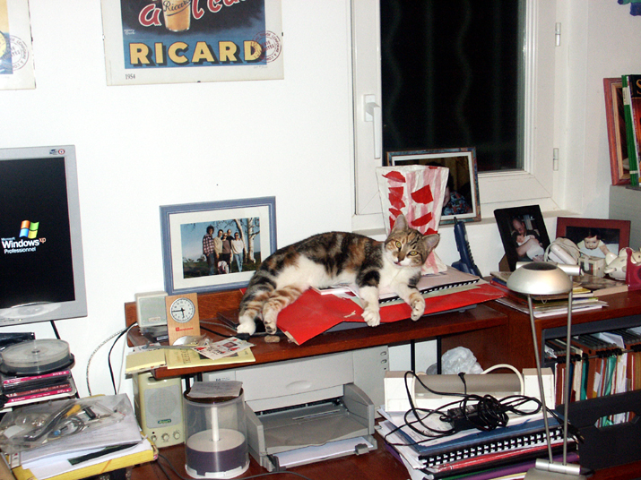 PICT0001.JPG - DCF 1.0