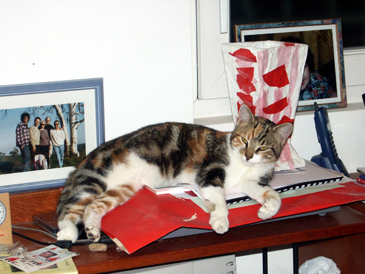 PICT0002.JPG - DCF 1.0